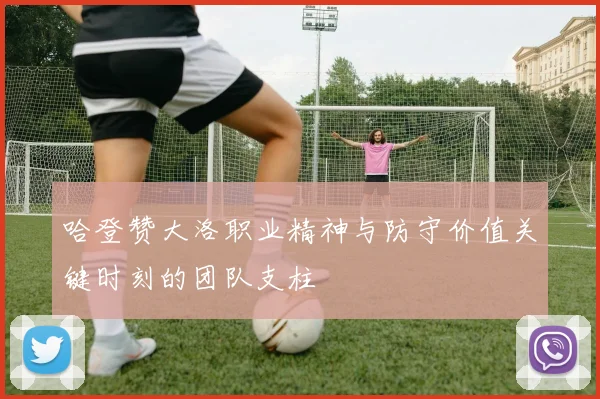 哈登赞大洛职业精神与防守价值关键时刻的团队支柱