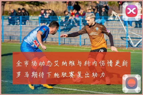 全市场动态艾纳维与科内伤情更新罗马期待下轮联赛复出助力