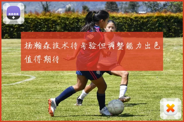 杨瀚森技术待考验但调整能力出色值得期待