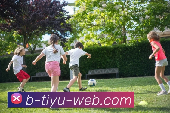 B体育平台生态图